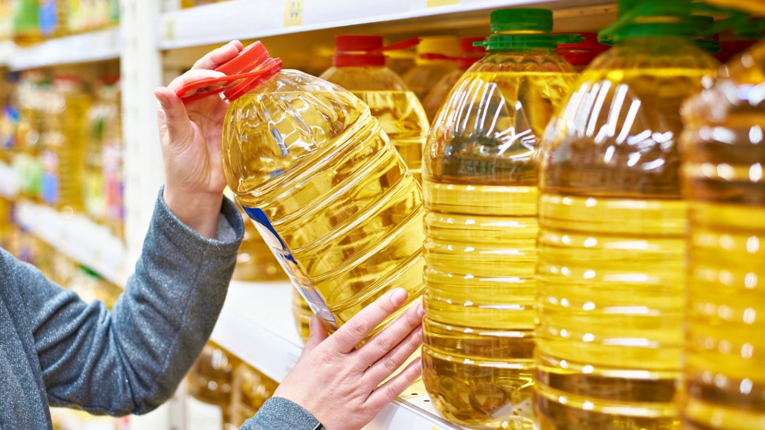 Heated Vegetable Oils and Cardiovascular Disease Risk Factors